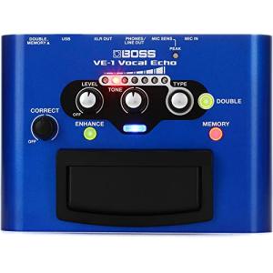 BOSS　Vocal Echo　VE-1 