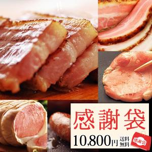 感謝袋 詰め合わせ ギフト 期間限定 ハム ベーコン ソーセージ【KNS-2】 北海道 エーデルワイスファーム