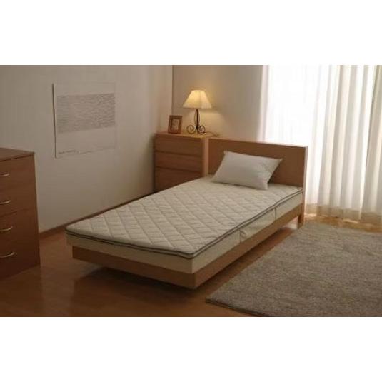 敷きパッド 寝具 IRIS OHYAMA アイリスオーヤマ 幅100cm×奥行200cm 高さ約3c...