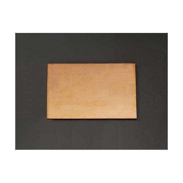 【個人宅配送不可】直送 代引不可 エスコ EA441VA-101  ３００ｘ２００ｘ１０ｍｍ 銅板 ...