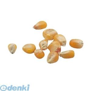 あさってつく対応 アーテック ArTec 002738 野菜の種　とうもろこし 4521718027388 ATC-2738