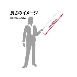 オープン工業 PT-120 ポインター PT1...の詳細画像2