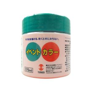 ターナー色彩 EV170205 ケイコウレッド ...の商品画像