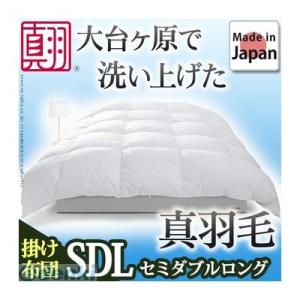 【個数：1個】90400047  直送 代引不可・他メーカー同梱不可 スペイン産ホワイトダック 成熟羽毛寝具シリーズ 〔真羽毛〕 掛け布団 セミダブル ロングサイズ｜edenki