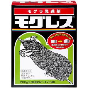 直送 代引不可・他メーカー同梱不可 レインボー薬...の商品画像