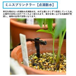 タカギ GKS102 自動水やり 点滴 ポット...の詳細画像1