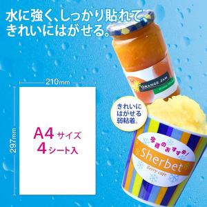 プラス 4977564341183 IJはがせ...の詳細画像3