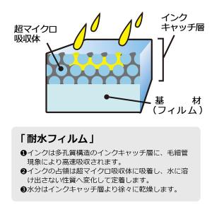 プラス 4977564341183 IJはがせ...の詳細画像4