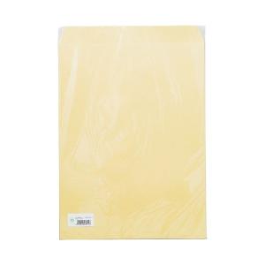 寿堂   大型クラフト封筒A3マチなし10枚パック*10