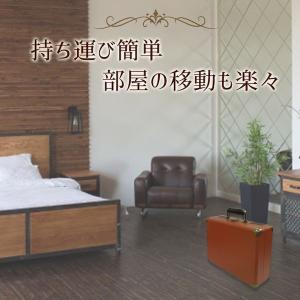 4562166805418 CICONIA チ...の詳細画像4
