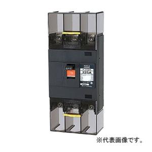 テンパール工業 B-223EA 175A 配線用...の商品画像