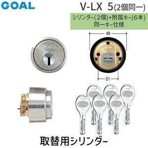 GOAL ゴール V-LX-G 19ミリ (21) 扉厚33-43MM 取替用シリンダー VLXG19