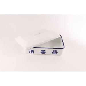 野田琺瑯(Nodahoro) 野田琺瑯 日本製 ホーロー製 たらい 40cm TA-40