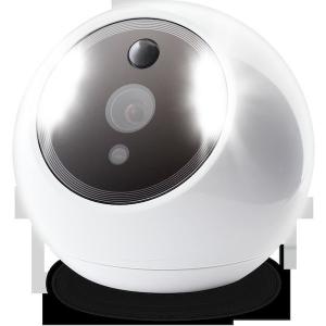 あすつく対応 「直送」 AMARYLLO AC...の詳細画像4