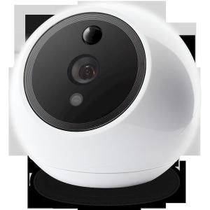 あすつく対応 「直送」 AMARYLLO AC...の詳細画像5