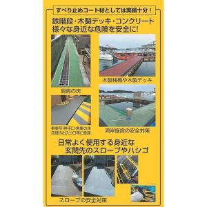 丸長商事 4580138400522 パワーテ...の詳細画像1