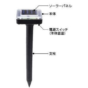 イチネンアクセス 旧イチネンMTM KENOH...の詳細画像2