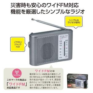 4526858052405 【160個入】 ワイドFM対応ポータブルラジオ AM／FM 33257 103385【キャンセル不可】｜edenki