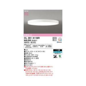 ODELIC（オーデリック） 安心のメーカー保証 期間限定特価 OL291617BR