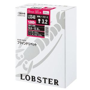 ロブテックス エビブラインドリベットステンレス/スティール製48  LSS48