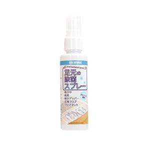 エスコ EA939AG-39 100ml 靴用除菌スプレー EA939AG39