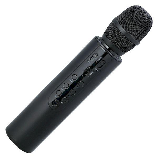 あさってつく対応 アーテック ArTec 052313 拡声器付きマイク