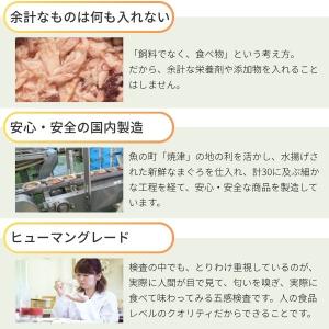 在庫 STIサンヨー 495368520179...の詳細画像3