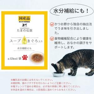 在庫 STIサンヨー 495368520179...の詳細画像4