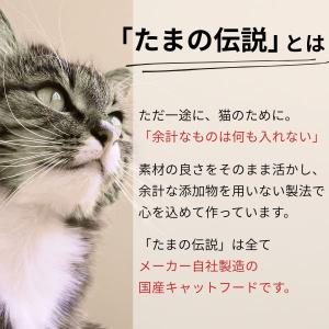 在庫 STIサンヨー 495368520183...の詳細画像1