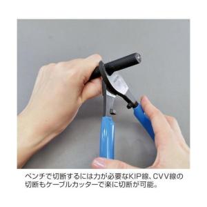 HOZAN ホーザン DK-UK 第一種電気工...の詳細画像2