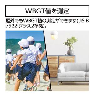 シンワ測定 73223 シンワ 熱中症計 黒球...の詳細画像2