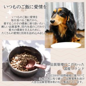 在庫 ペットライン 4902418002286...の詳細画像2