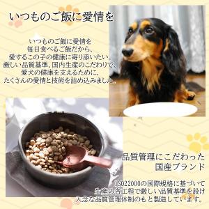 在庫 ペットライン 4902418002491...の詳細画像2