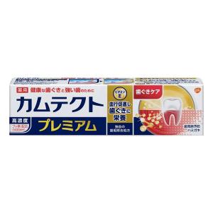 4987977000065 カムテクト プレミアム 歯ぐきケア 105g 【キャンセル不可】