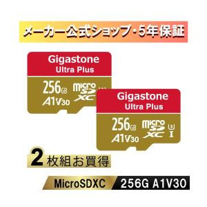 Gigastone GJMXR-256GV3A1100R-2PK Nintendo Switch確認済マイクロSDカード 256GB 2枚セット SDXC microSD microsdカードA1 V30 U3 クラス10 Ultra HD 4K 超高速