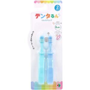 4560245820420 デンタるん りんぐグリップ 6ヵ月から グリーン＋ブルー 2本入