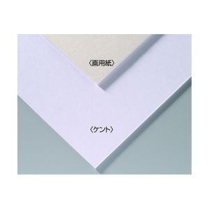 【個数:1個】ATC143301X10 直送 代...の商品画像