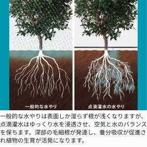 タカギ GKS105 点滴チューブ 5m 水や...の詳細画像3