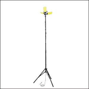 MAS◾️サウラライトアメジスト＋MGM証明書(追送分) MAS◾️サウラライトアメジスト＋MGM証明書(追送分) MAS◾️サウラ