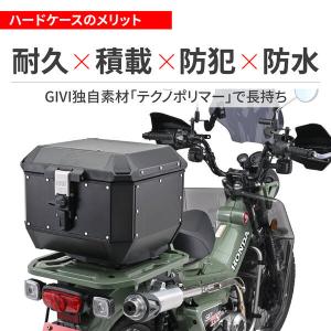 デイトナ DAYTONA 60927 リアボッ...の詳細画像3
