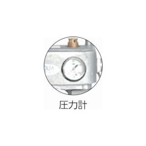 【個数:1個】 アクア APD-20GN 直送...の詳細画像1