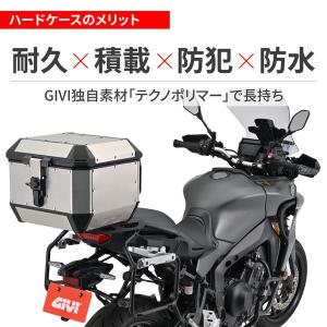 デイトナ DAYTONA 60926 GIVI...の詳細画像3