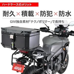 デイトナ DAYTONA 61298 GIVI...の詳細画像3