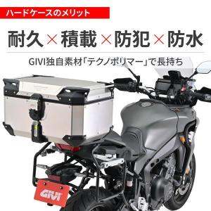 デイトナ DAYTONA 61300 GIVI...の詳細画像3