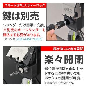 デイトナ DAYTONA 61300 GIVI...の詳細画像5