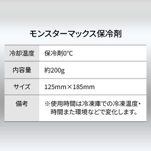 アイスマン モンスターマックス 保冷剤 ヤマシ...の詳細画像4
