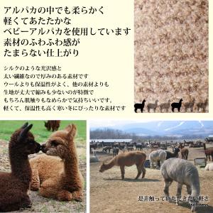 折りたたみ レディース 帽子 日本製 ベビーア...の詳細画像1