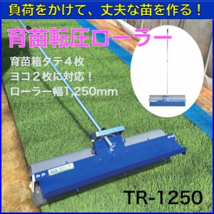 苗取りボード 10枚入り【送料無料】 : EDGEPLAZA - 通販 - Yahoo