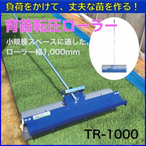 苗取りボード 10枚入り【送料無料】 : EDGEPLAZA - 通販 - Yahoo