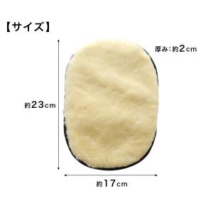 靴磨き 靴ブラシ 靴 手入れ ブラシ クロス ...の詳細画像5
